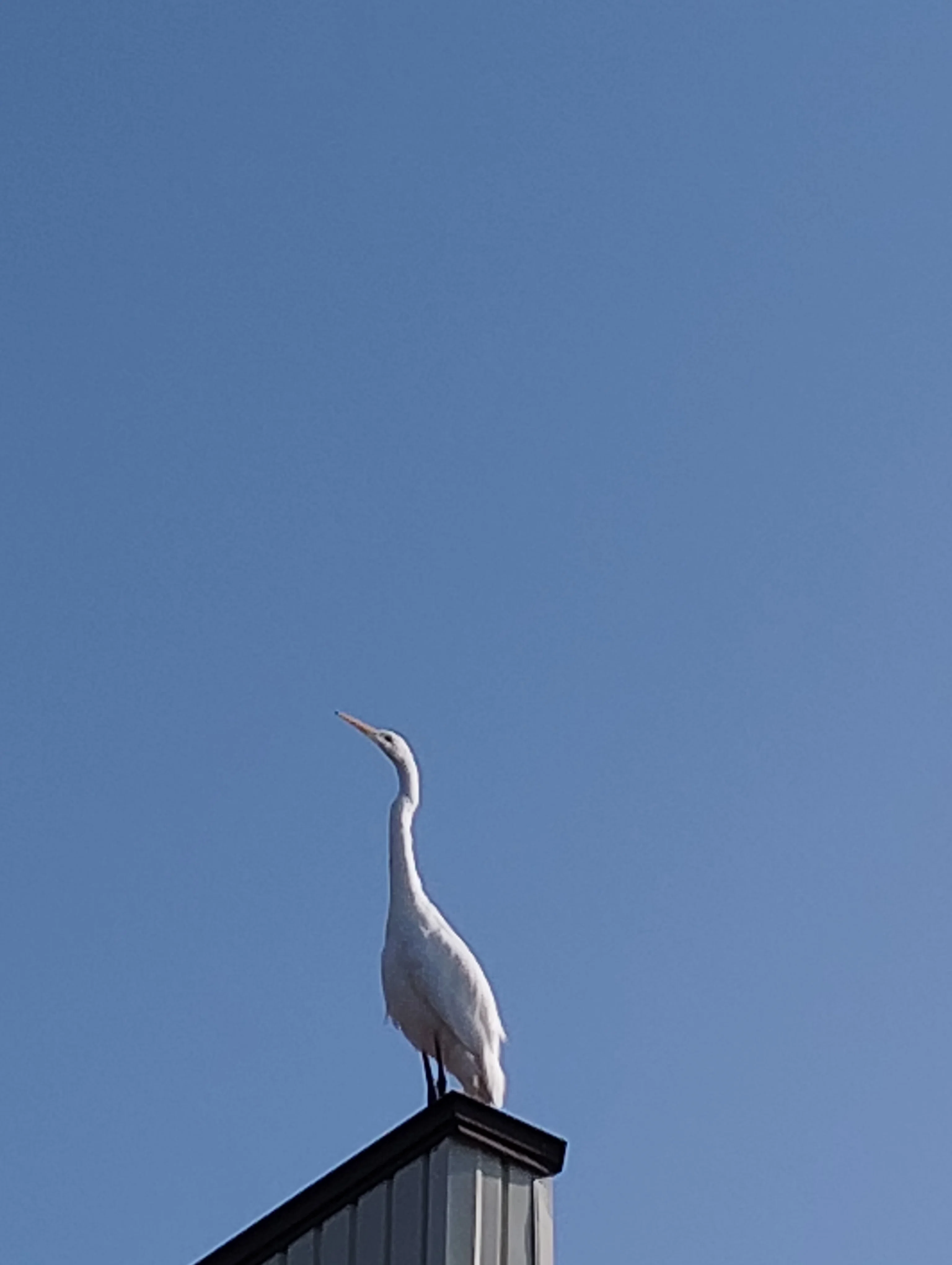 Under the clear autumn sky, I realized my own vitality｜いと