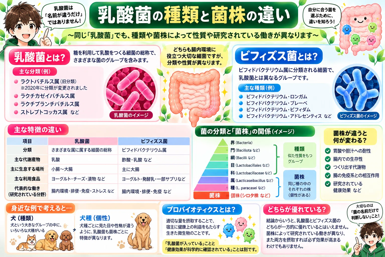 【Thorough Comparison of Lactic Acid Bacteria and Bifidobacteria】 What ...
