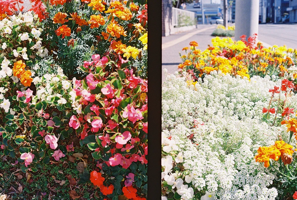 How to use the OLYMPUS PEN-D, examples [Memorandum]｜菊地青