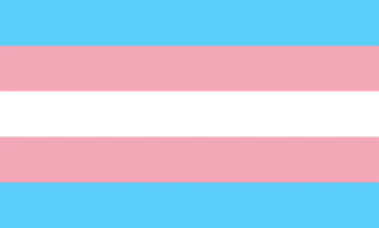 A Flag That Is Not a Spectrum｜The Experienced Rock'n roll Feminism