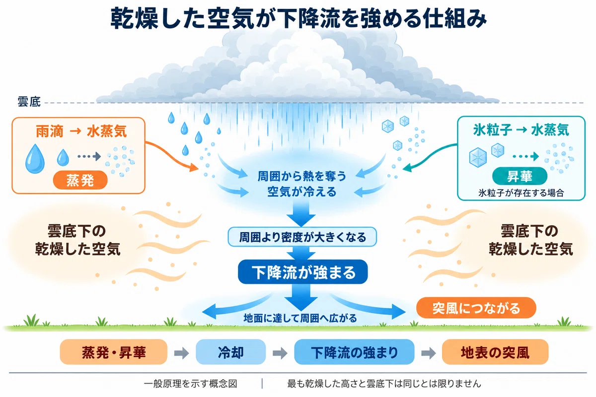 [63rd Practical Exam 1] Weather Forecaster Exam Explanation | Question ...