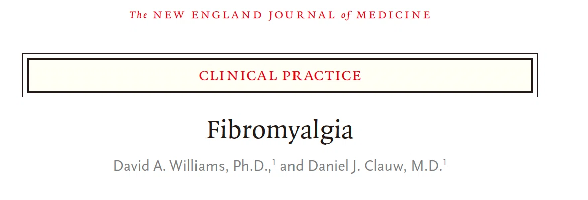 線維筋痛症（2026, NEJM）｜kano