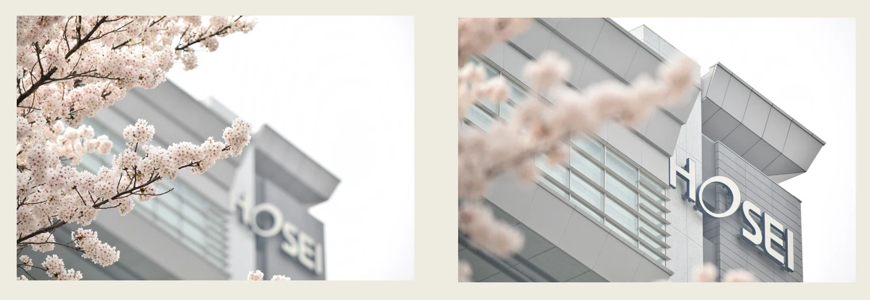 Even with the same scenery, changing the focus changes how it looks ...