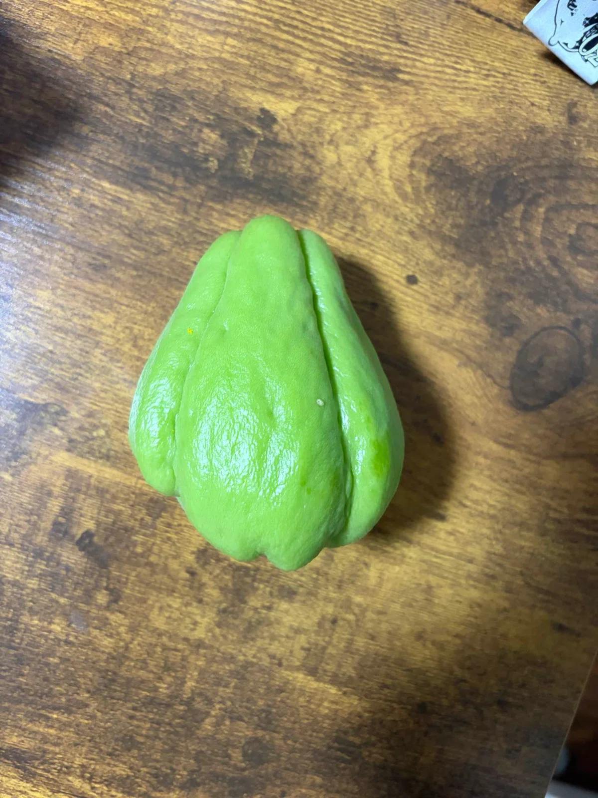 Chayote in the Castle Garden｜Lily