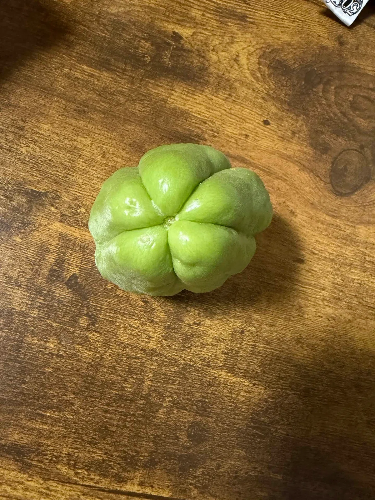 Chayote in the Castle Garden｜Lily