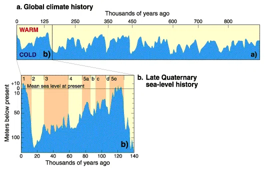 [Ryukai History] Basic Knowledge for Understanding Sea Level ...