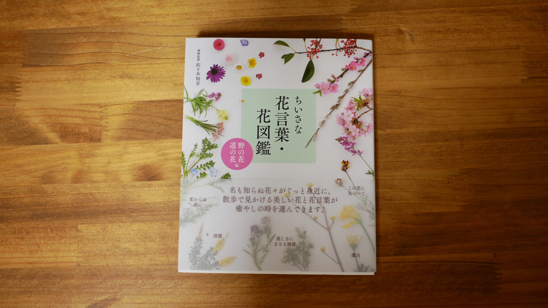 Language of Flowers | An Essay About Thinking of My Mother｜日影のバジル | 創作者