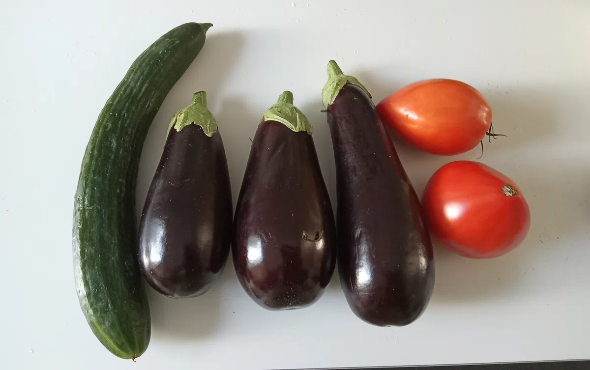 Market Diary in the French Countryside 🇫🇷 19｜あかりのフランス🇫🇷日常生活