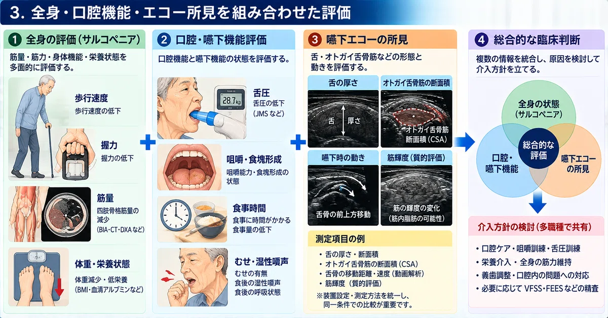 [Dental Dysphagia Ultrasound Promotion Association] The 23rd Dysphagia ...