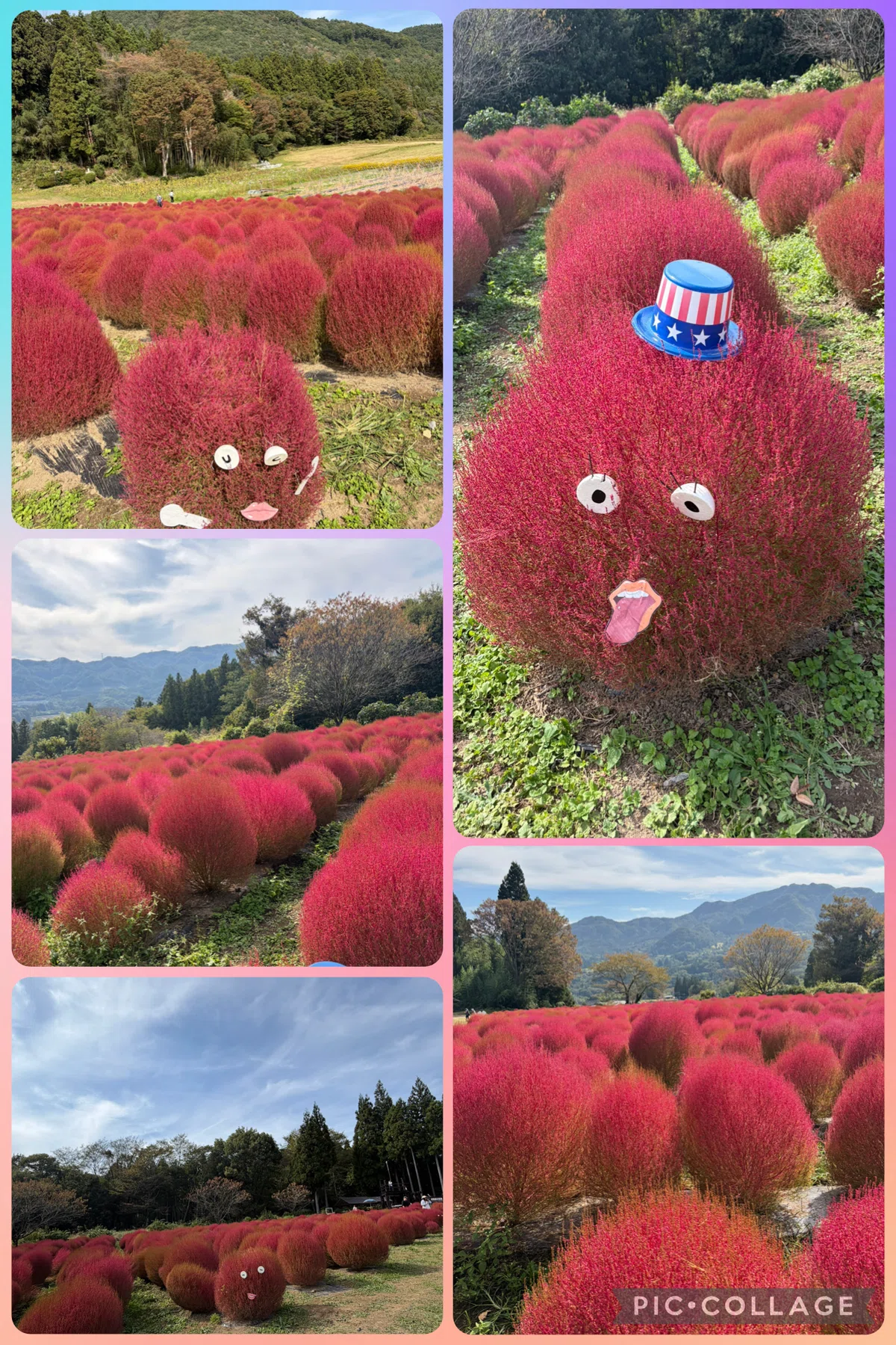 [A Little Autumn Photo Album] A day trip to see flowers in Gunma ️｜恵子 ...