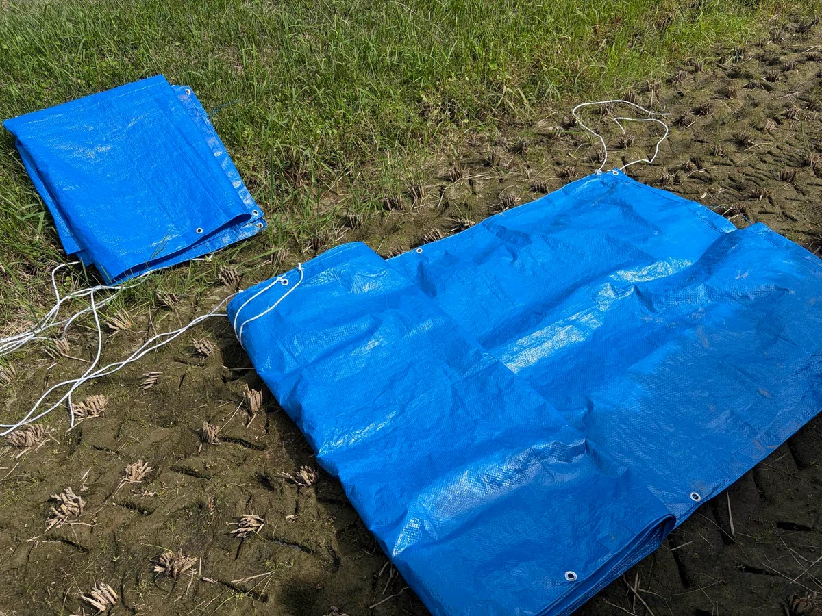 [2026 Rice Farming Diary 12] Threshing! The rice finally makes its ...