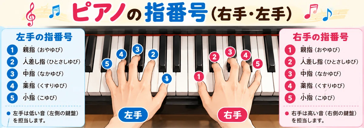 How to play the piano with both hands? A slightly science-minded ...