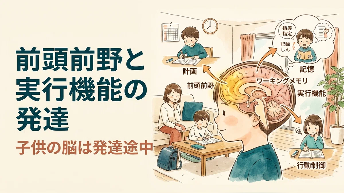 The Wrong Way to Scold a Child Who Forgets Homework — Executive ...