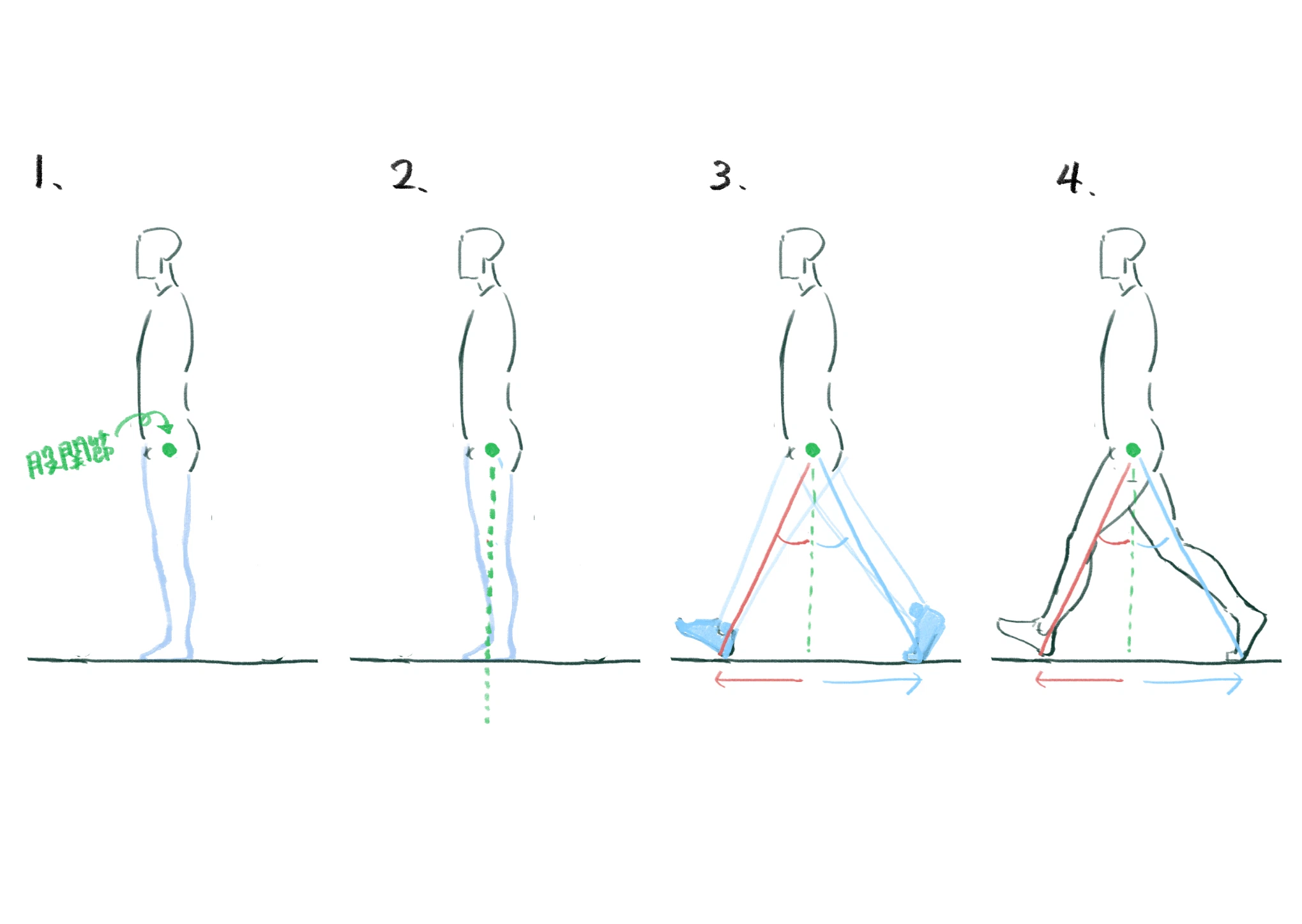 Jen Poses Reference Anthro cat leg drawing