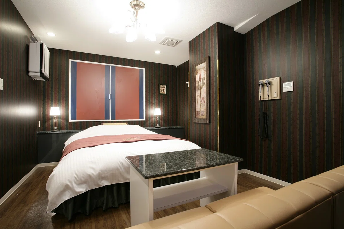 [Collector's Edition] 12 Top-Tier Love Hotels Around Umeda and ...