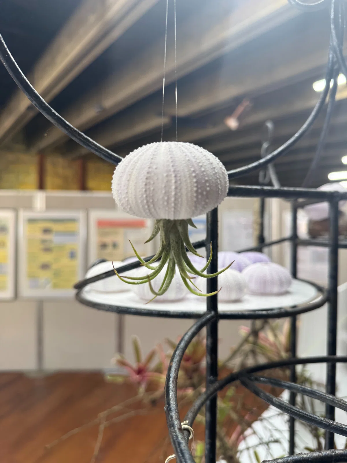 Tbular Shell Nanbu Agriculture and Forestry High School's learning is now on display ...