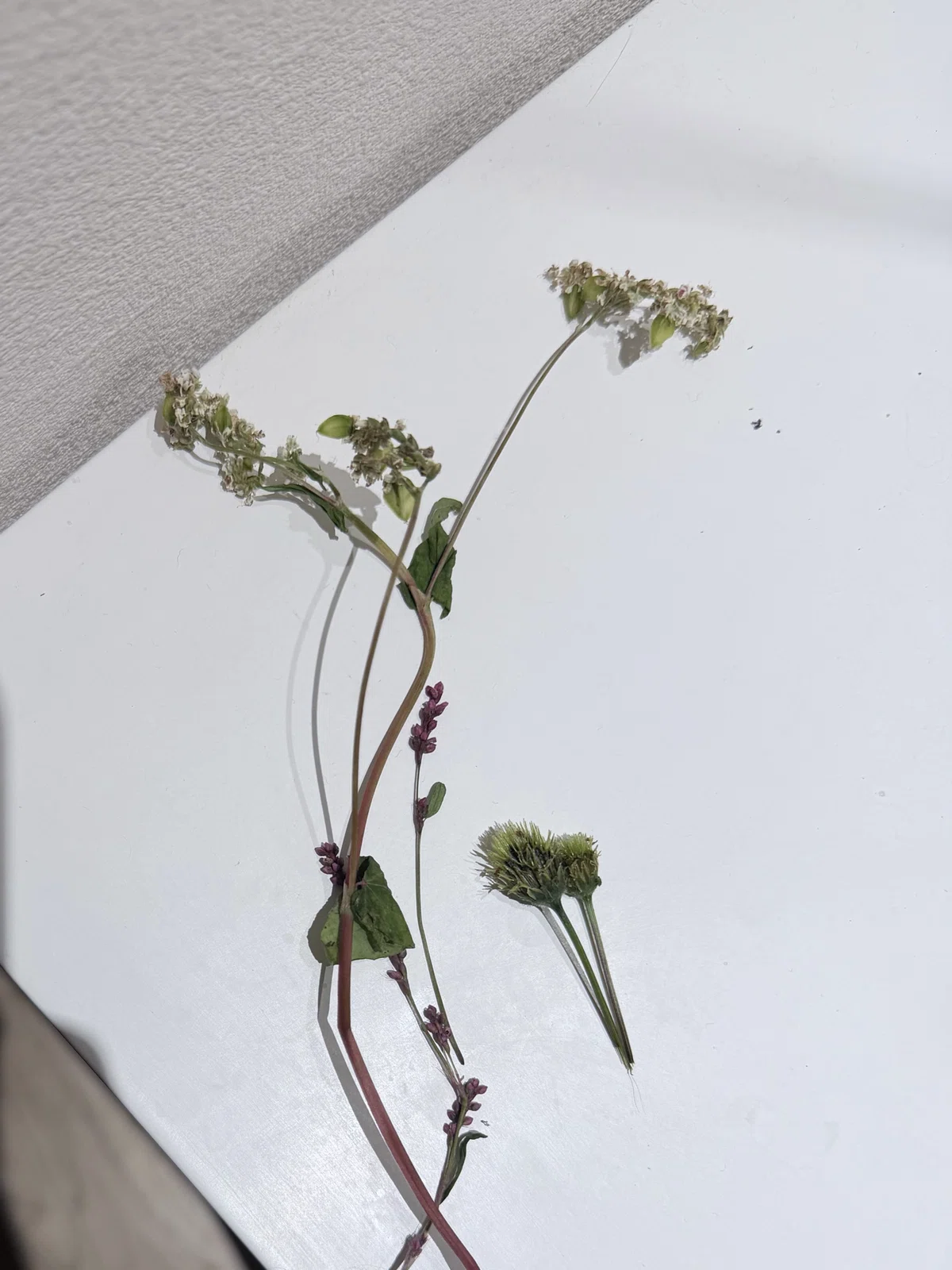 I participated in an autumn Satoyama handicraft workshop｜eko landscape