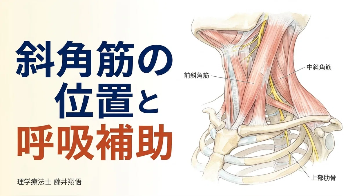 Shoulder and Neck Stiffness I Thought Was Due to 