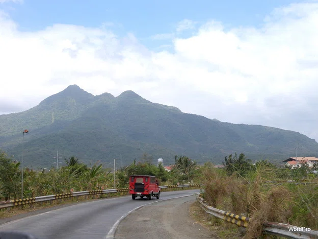 Tropical Rain Forest Translation Philippines｜川柳備忘録 yamadatrans