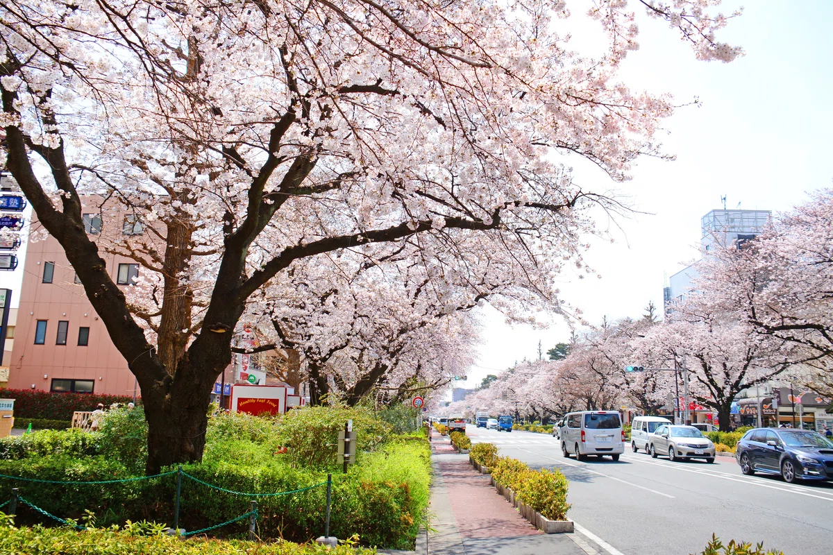[Elementary School Entrance Exam] Tokyo University of Agriculture Inaka ...
