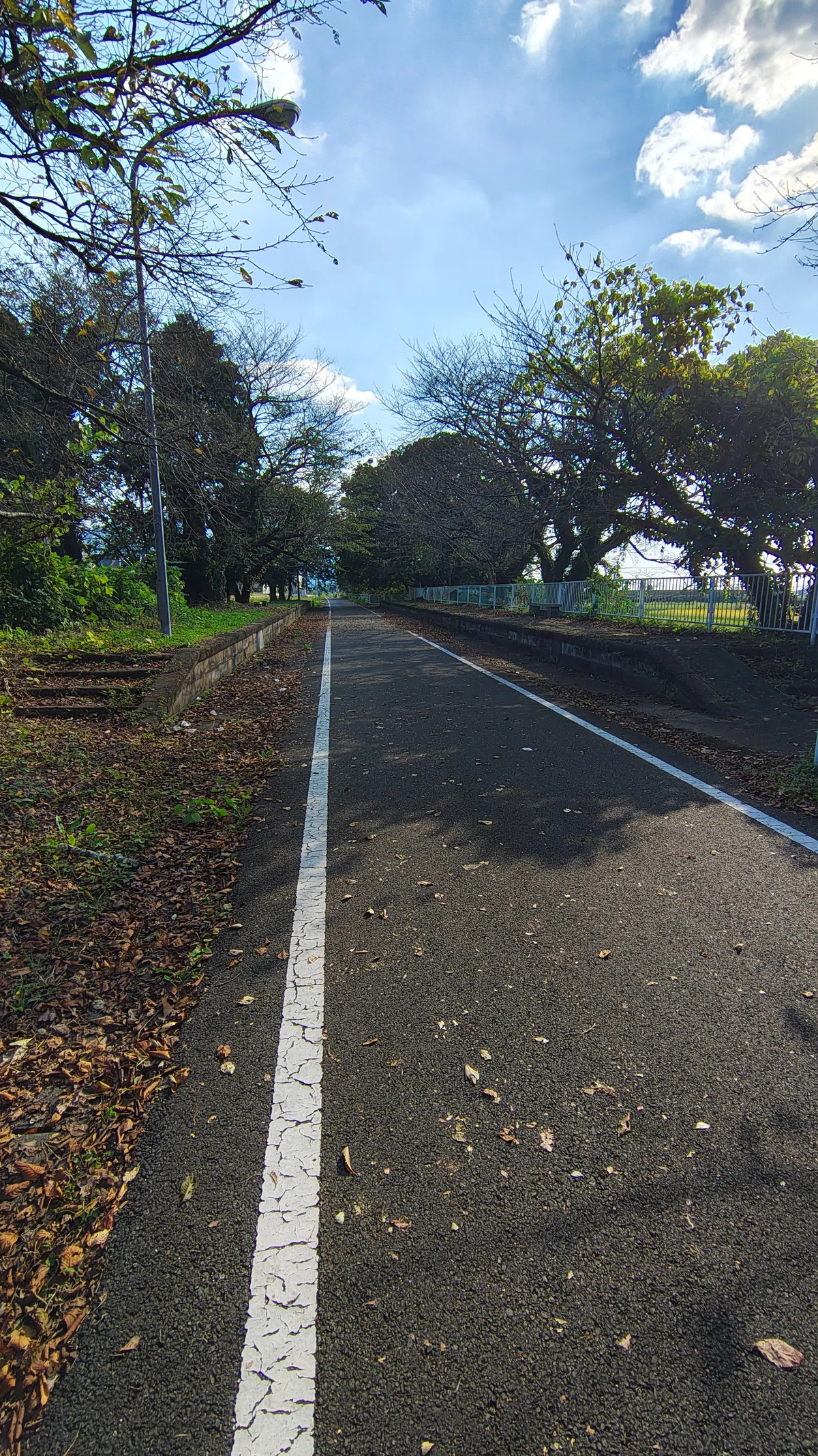 190km to Mashiko. A long ride to eat a fried shrimp sandwich|荻窪リドレー