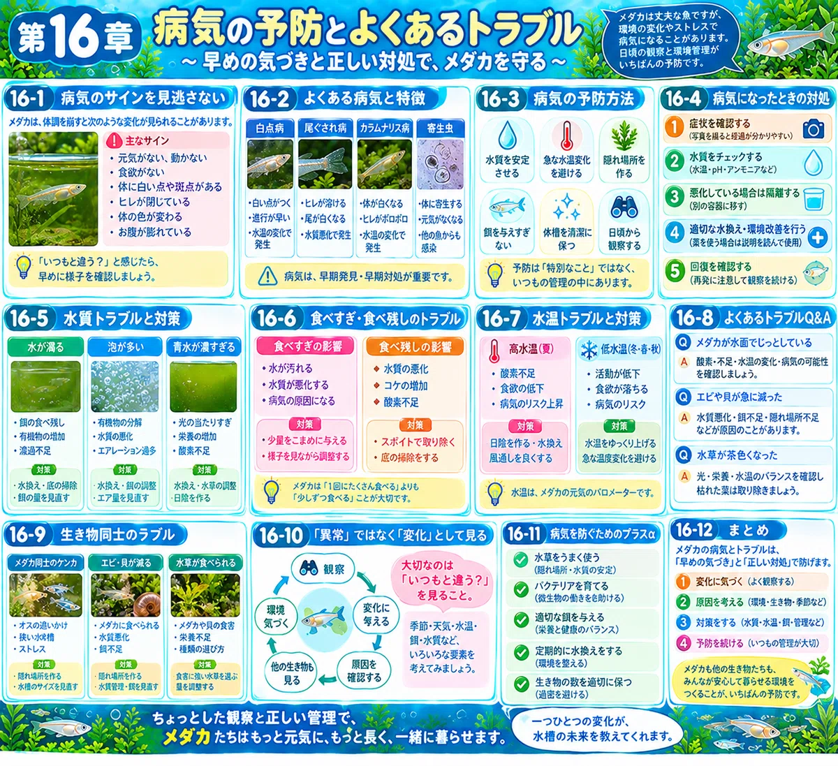 Chapter 16: Disease Prevention and Common Problems｜シンゴ
