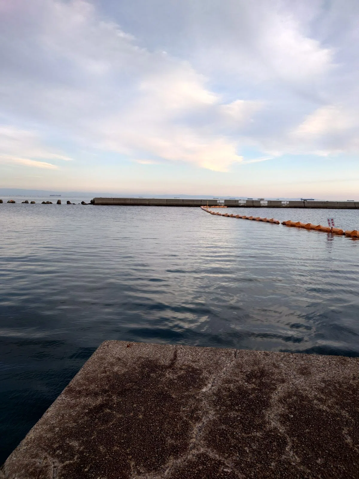 A family of three went to the Chimori jetty. We caught one filefish and ...