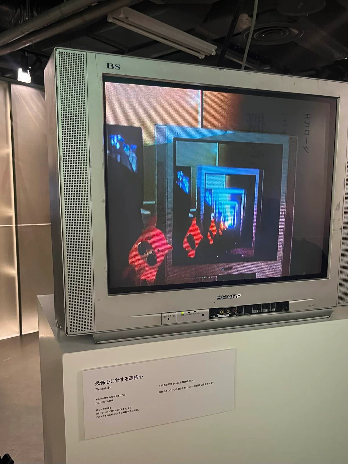 [Diary] October 19, 2026 - I went to the Fear Exhibition｜がび