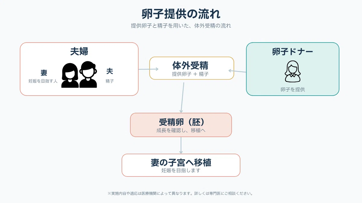 What is Egg Donation?｜芽生mei|家族になるまでの物語