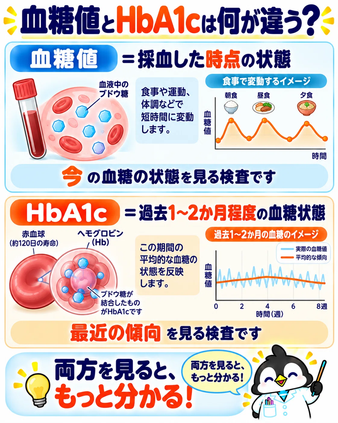[Explained by an Active Clinical Laboratory Technician] Does High Blood ...