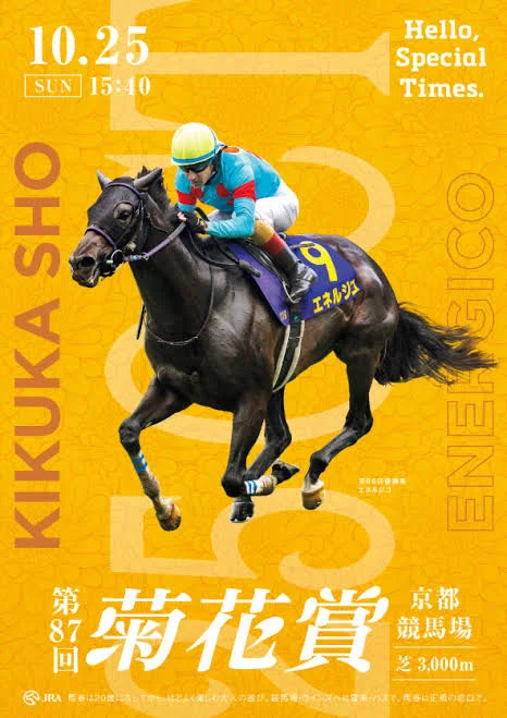 JRA］G1菊花賞2026サイン考察①出走馬馬名由来｜鳩胸男のサイン競馬