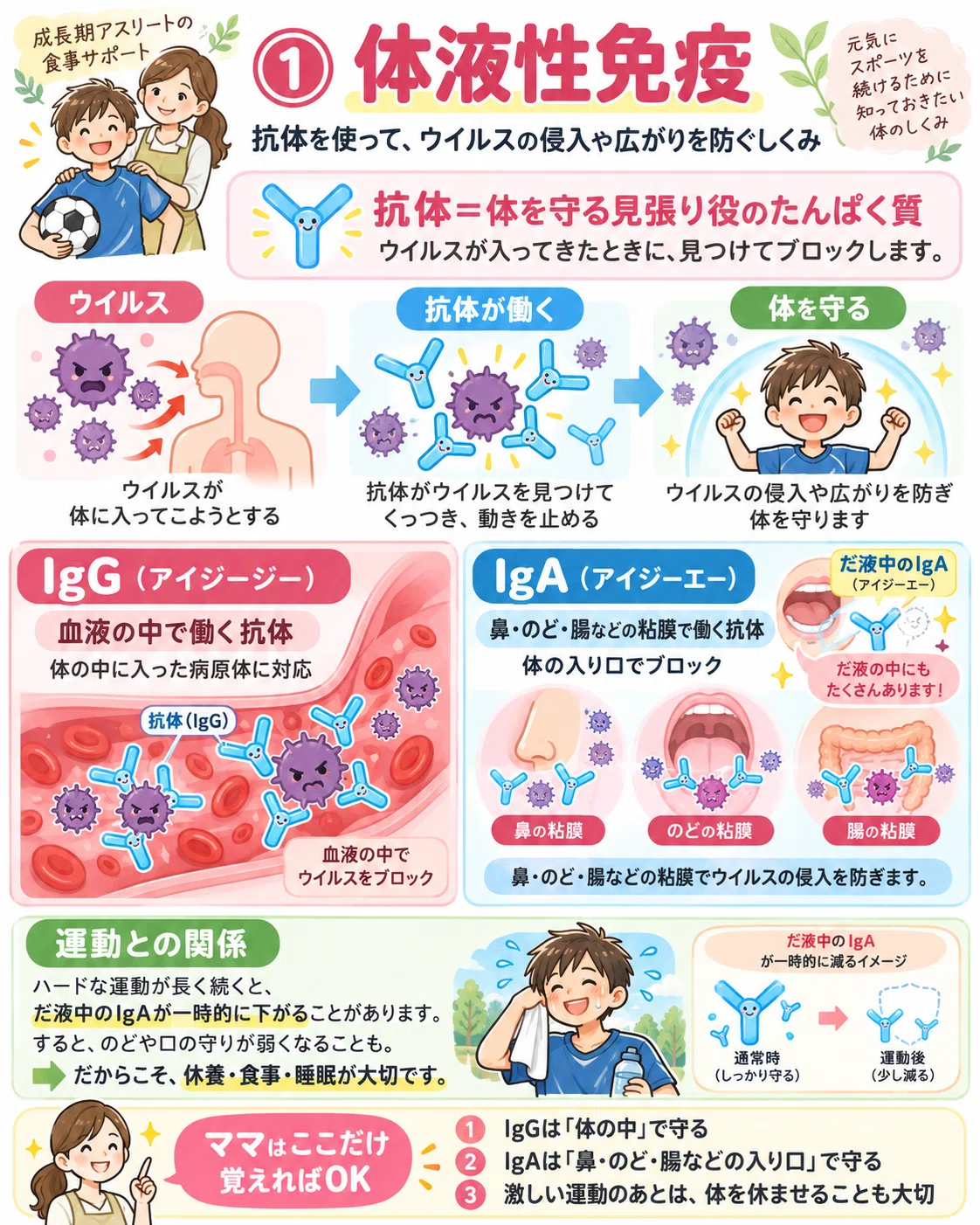Cell Engulf Are Athletes Prone to Colds!? 3 Key Points for a Diet That Supports ...