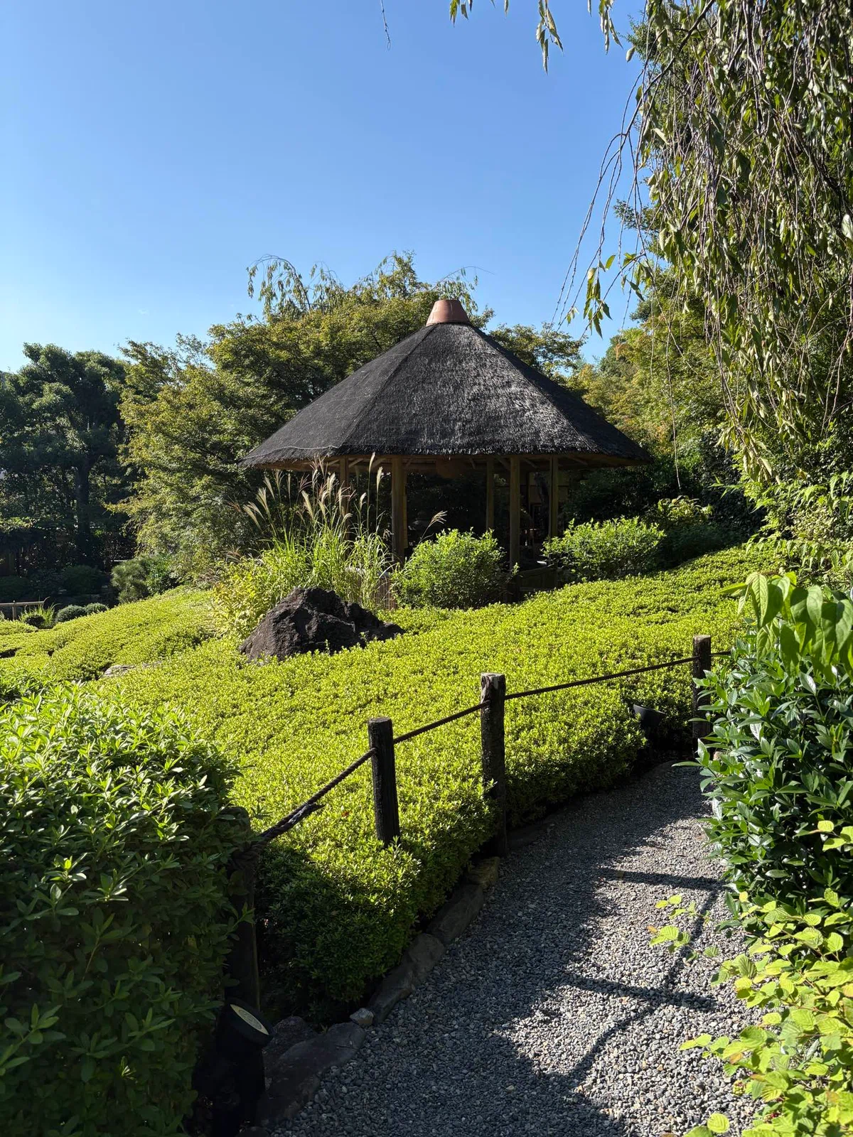 [3 Days, 2 Nights] A Solo Trip to Kyoto to Soothe the Soul🍵｜菜南乃