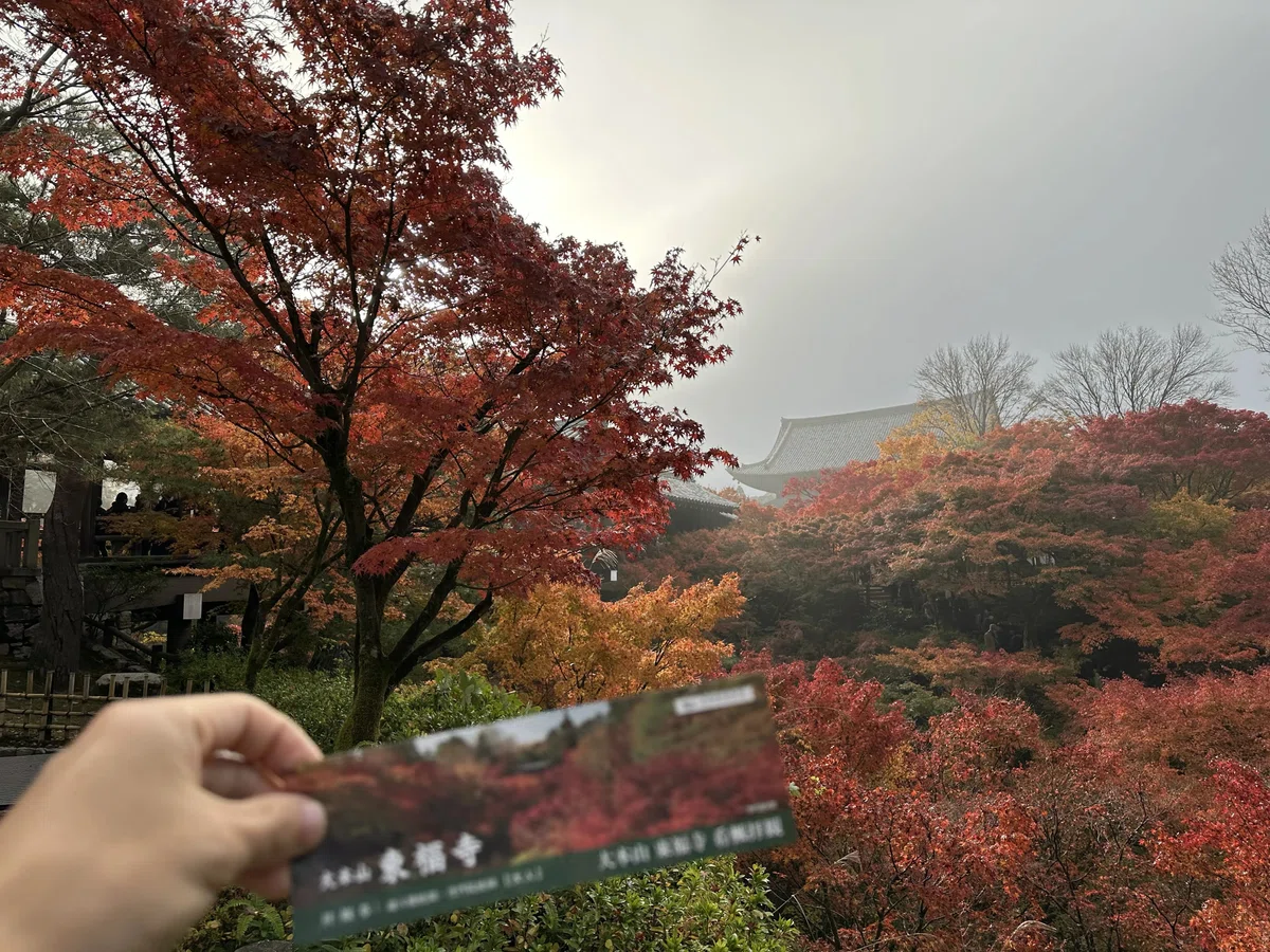 [Goshuin Stroll #28] Tofuku-ji Temple and OMO3 Kyoto To-ji｜御朱印さんぽ｜星野 ...