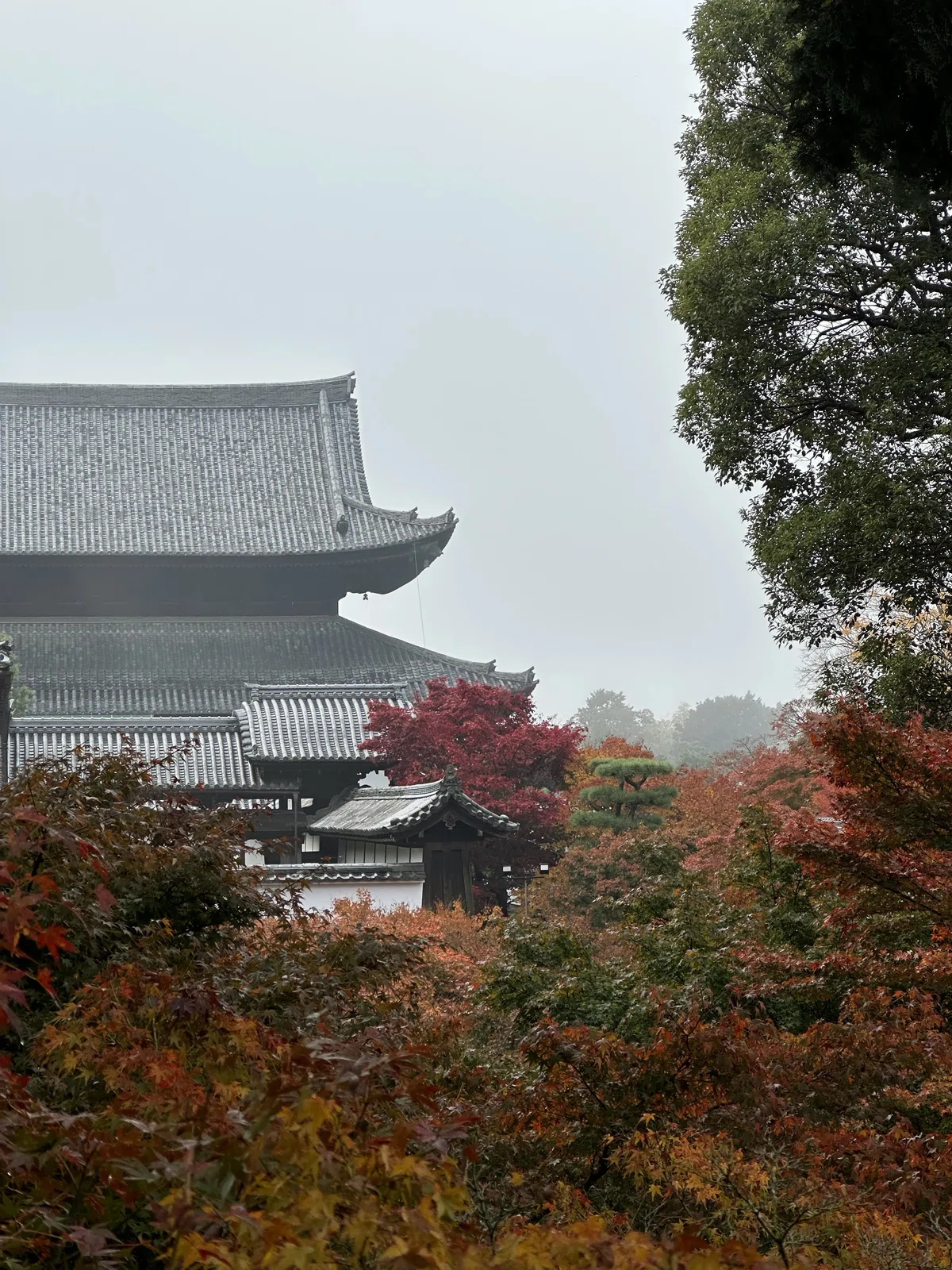 [Goshuin Stroll #28] Tofuku-ji Temple and OMO3 Kyoto To-ji｜御朱印さんぽ｜星野 ...