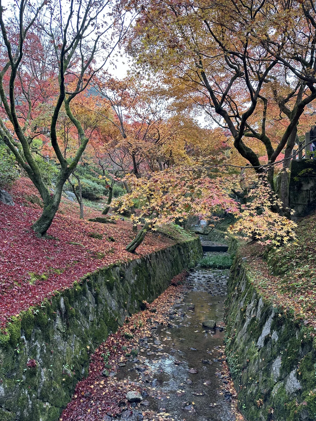 [Goshuin Stroll #28] Tofuku-ji Temple and OMO3 Kyoto To-ji｜御朱印さんぽ｜星野 ...