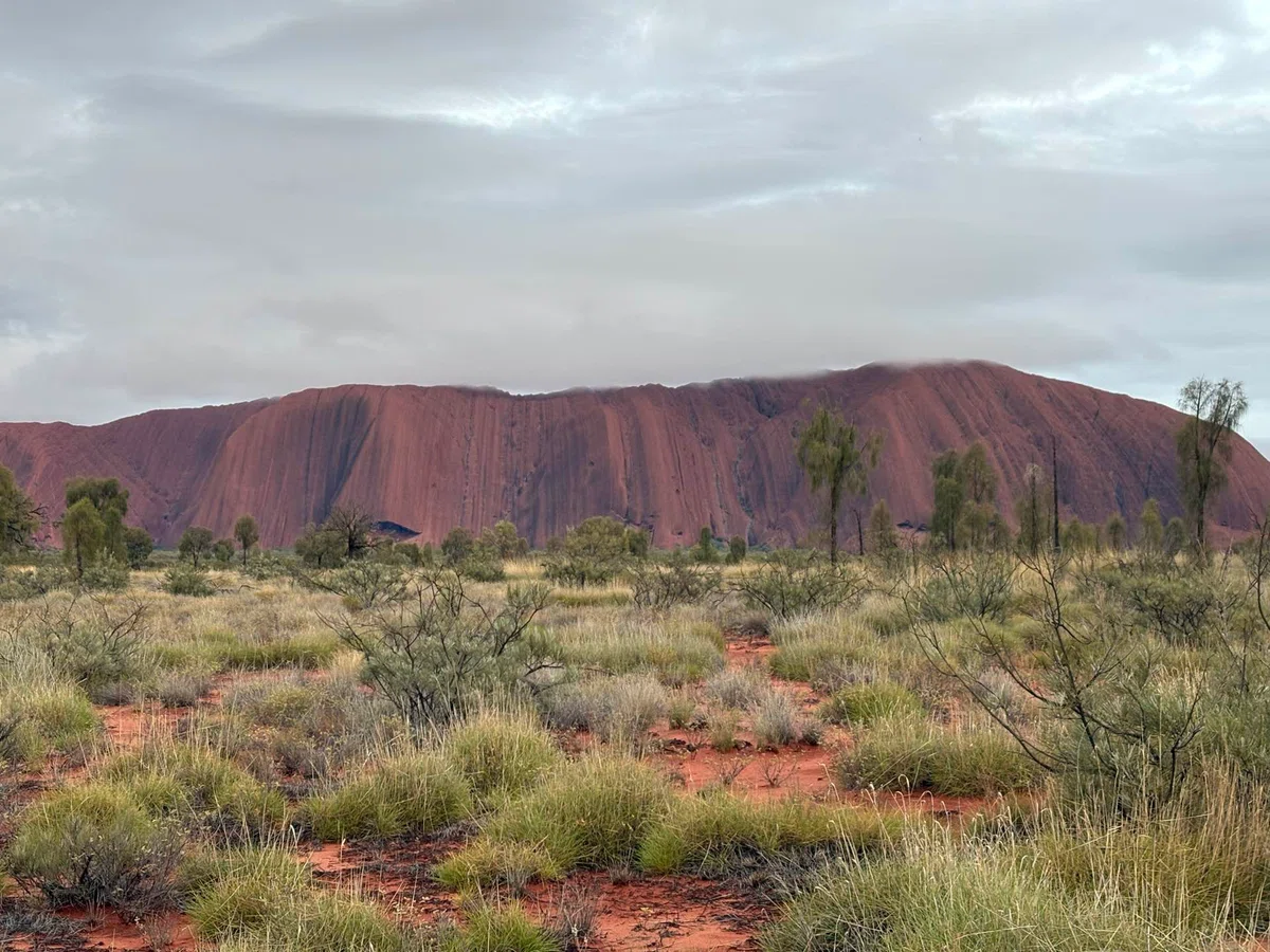 [Australia Trip] Shouting at the Center of the World: Ayers Rock & Kata ...