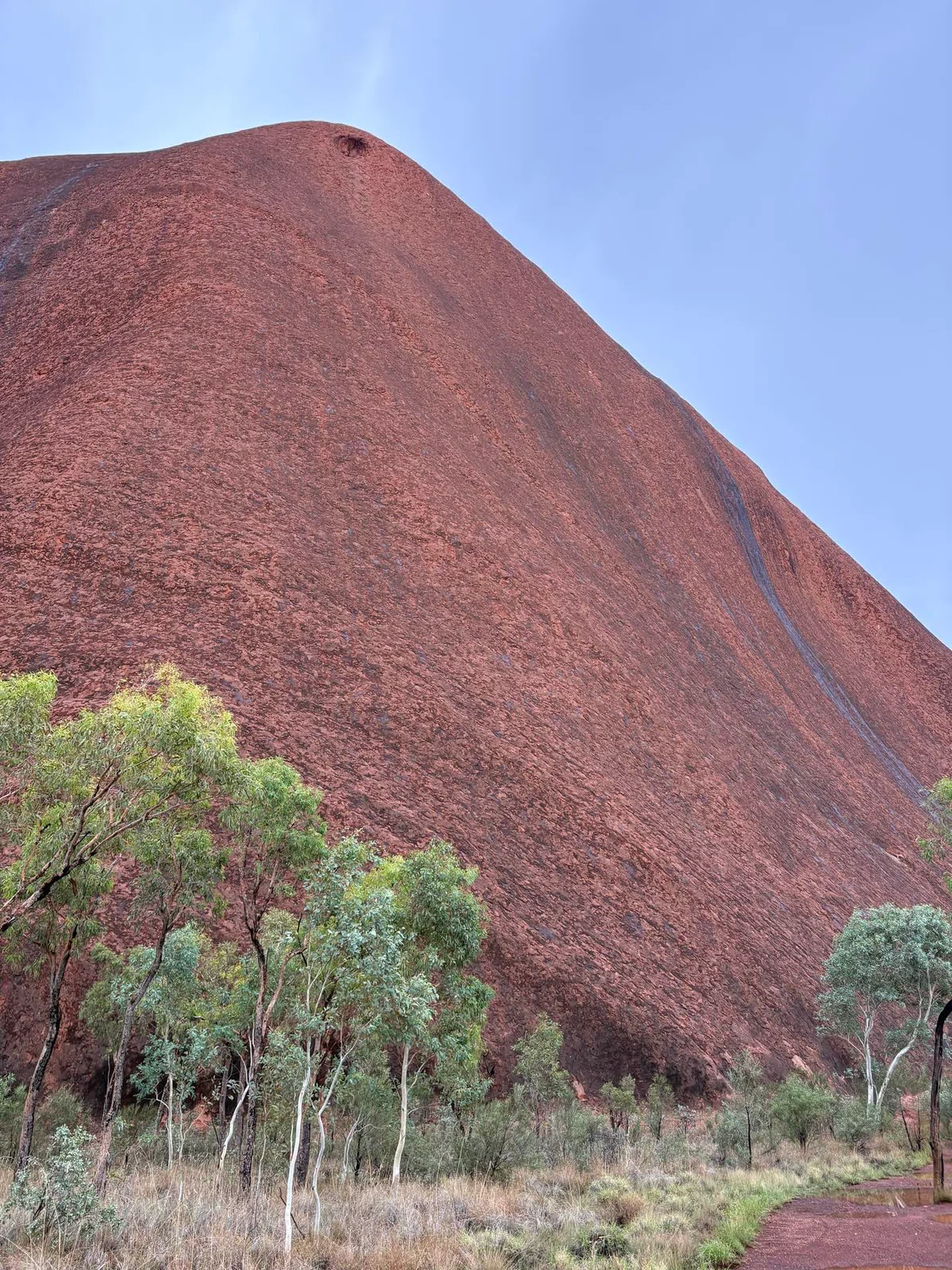 [Australia Trip] Shouting at the Center of the World: Ayers Rock & Kata ...