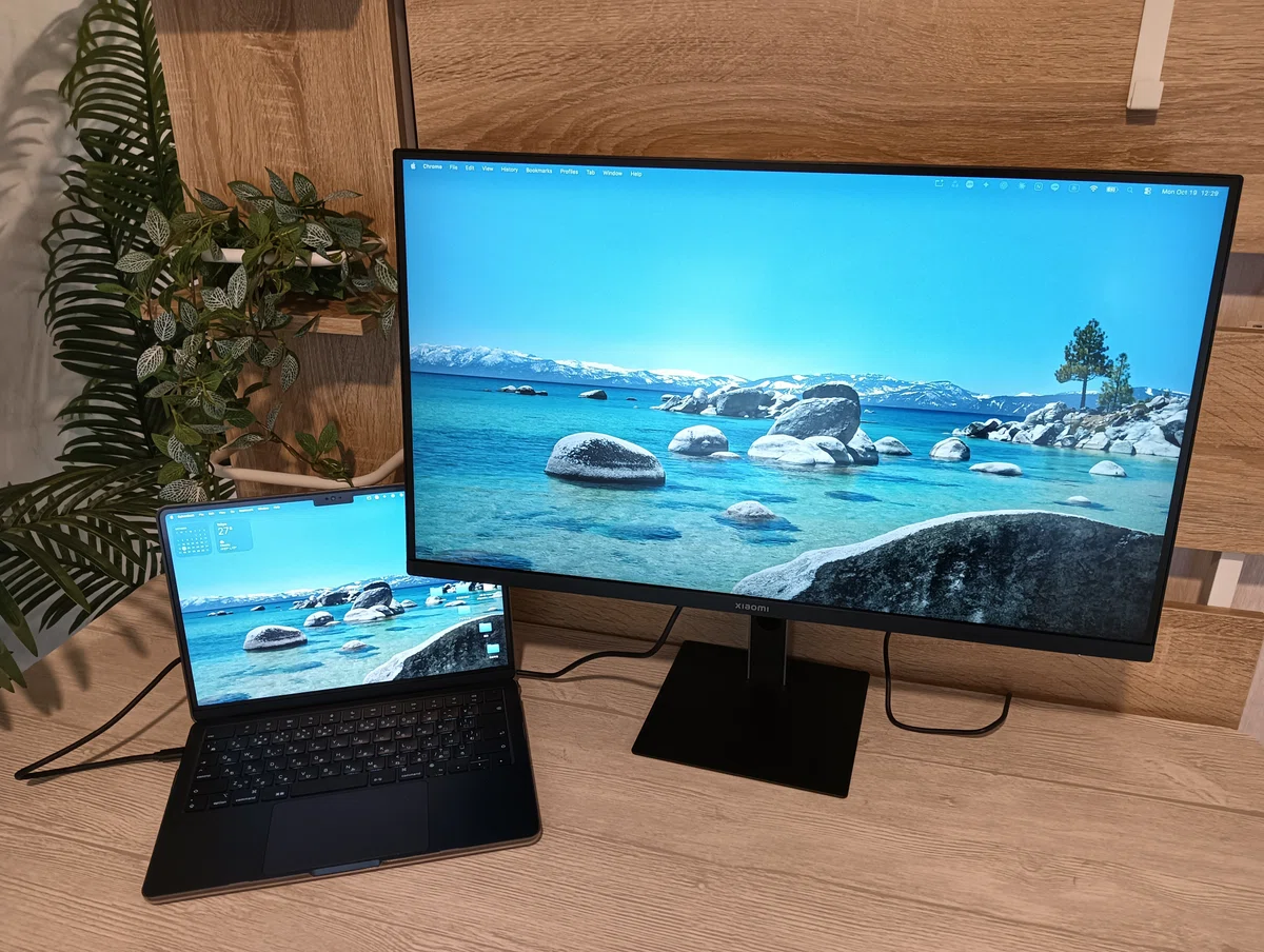 At 50, my first external monitor. I decided to leave the selection ...