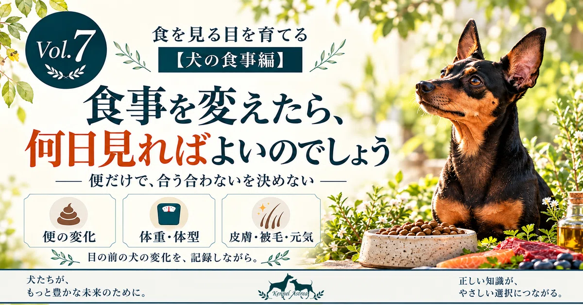 Developing an Eye for Food [Dog Diet Edition] Vol. 7: How Many Days ...