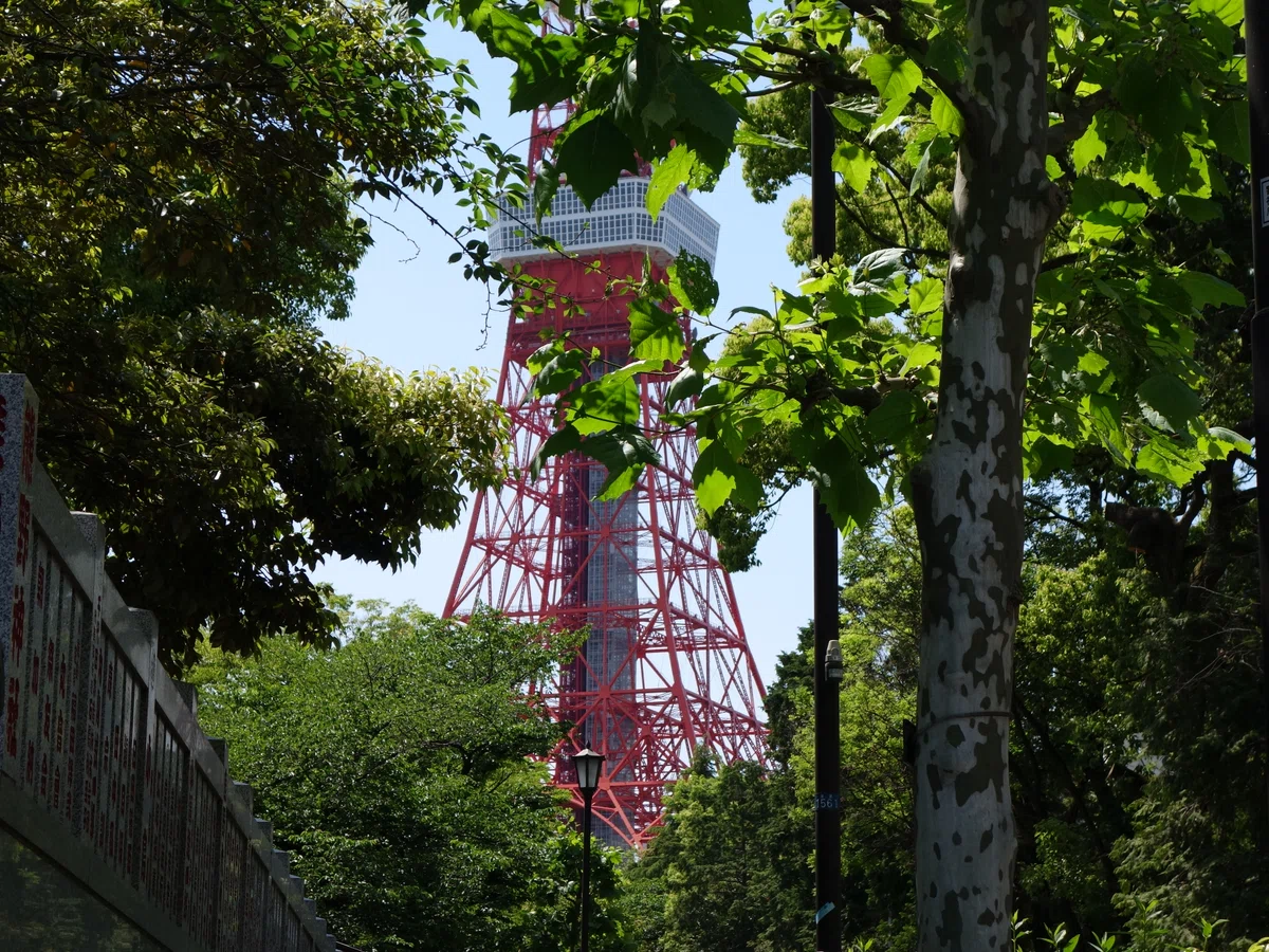 Drawing Guide GPT: C09: Tokyo Tower and Plane Tree 《Cubist Style》 GPT ...