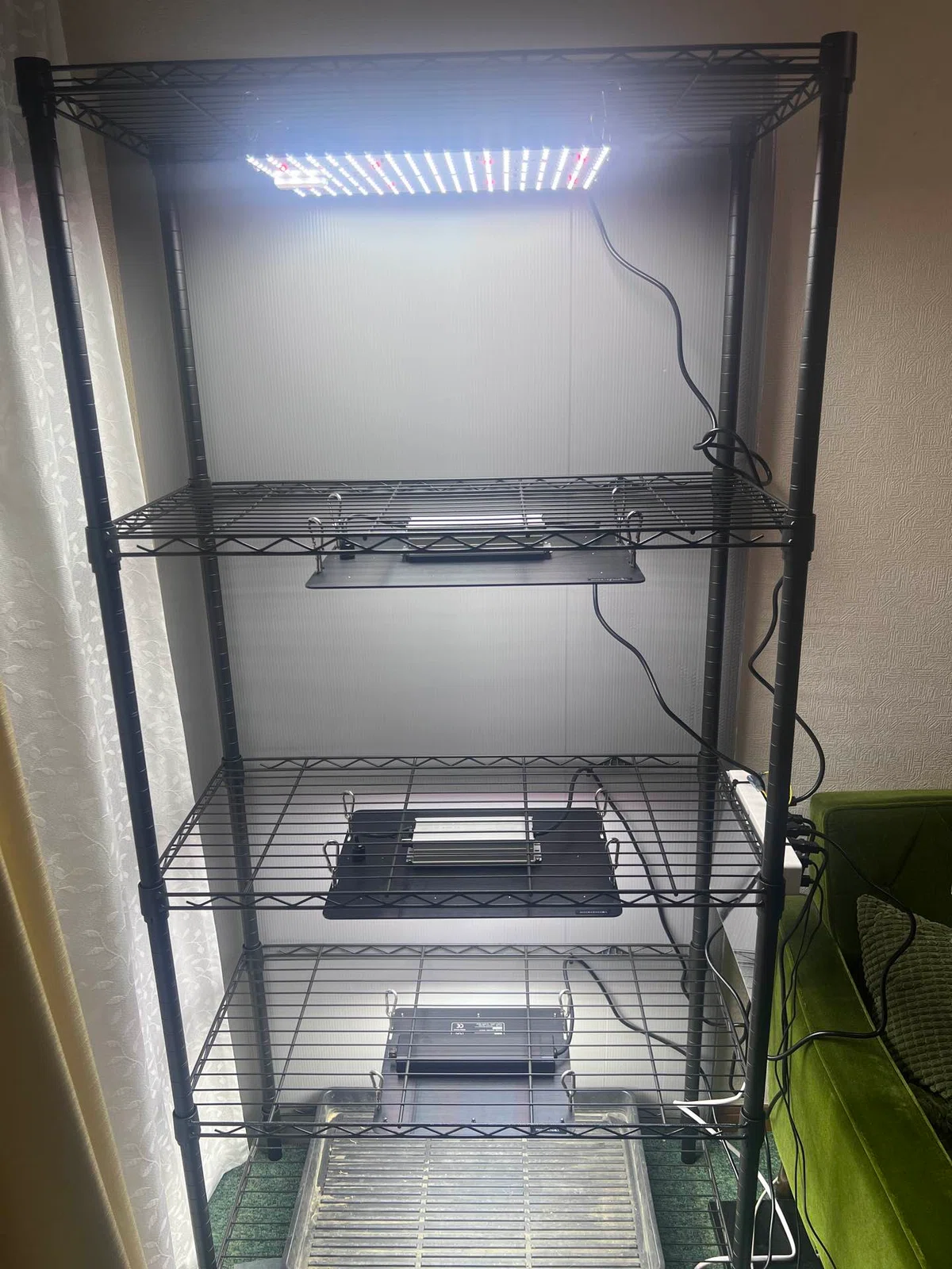 Mare Agave Swamp Research Lab #8 [Guide to the Quarantine Ward]｜mare_agave