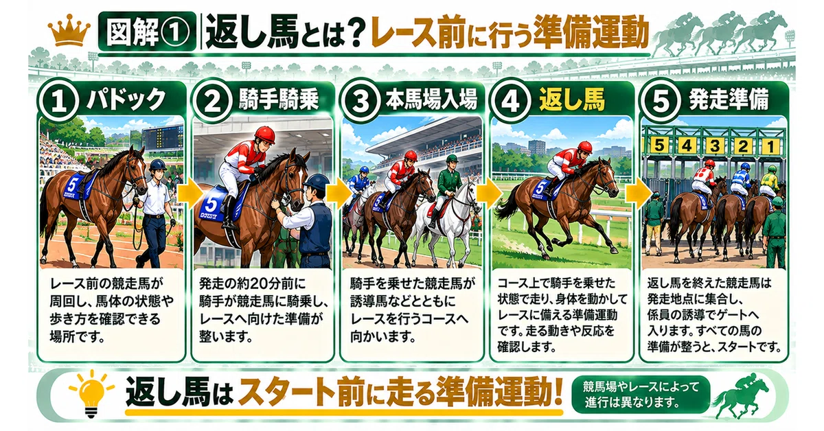 [Horse Racing Beginner's Guide] What is a 'Kaeshi-uma' (warm-up canter ...
