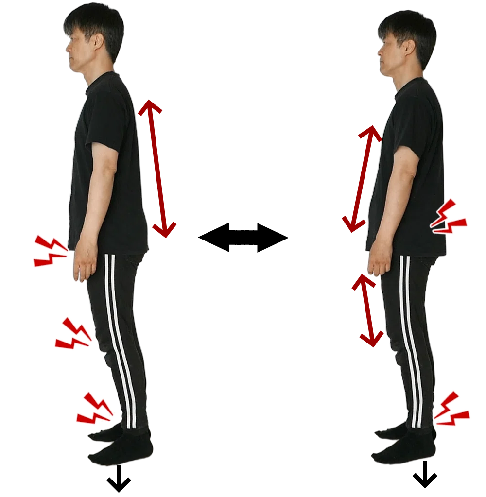 Enhancing Body Awareness Awakens the Body's Will｜心身楽道