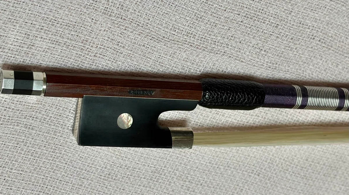 [Violin from Age 60] 6 months in: A major panic during the lesson, and ...