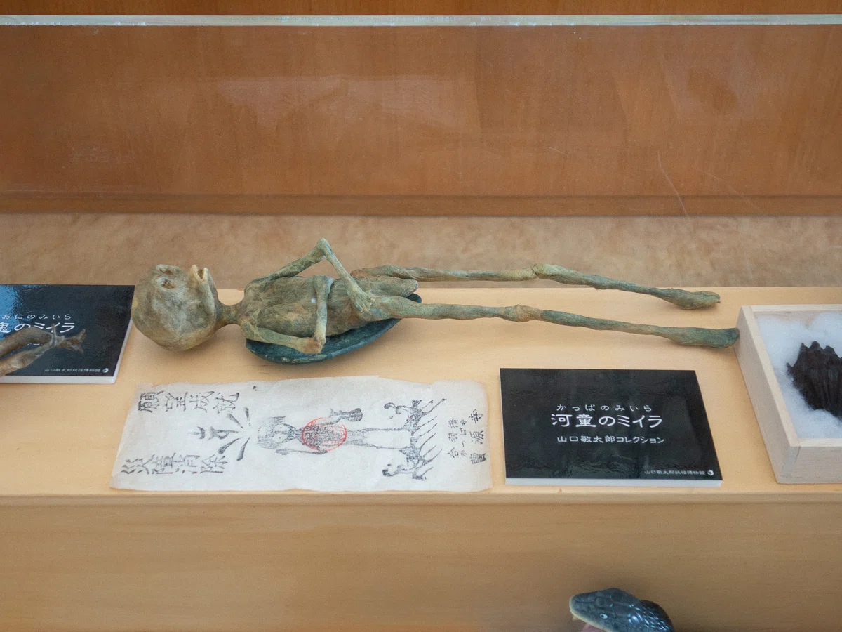 Photos: Kappa Mummy｜日本異界地図 | UNSTORY