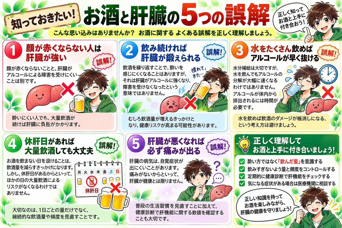 【Are people who can hold their liquor also strong in the liver?】 A ...