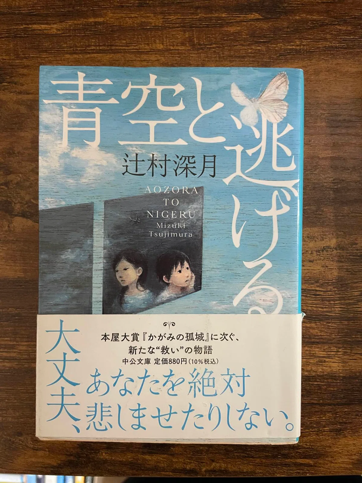 [Book Gacha] Running with the Blue Sky | Mother and Child, the Ultimate ...