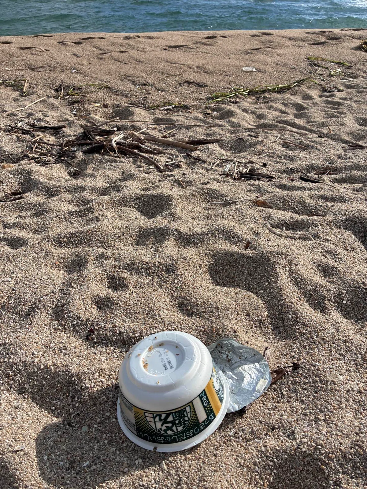 Picking Up Sea Trash in a Corner of This World 1 - How to Use 5 Million ...
