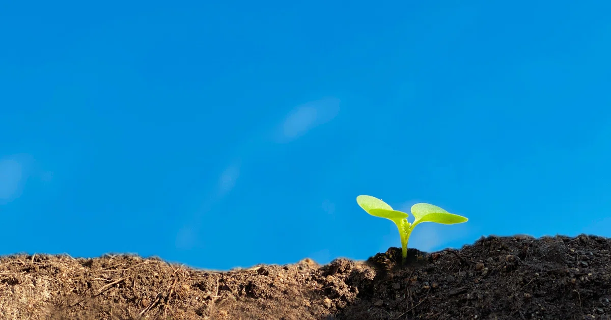 Do Things That Don't Pay Off: What I Want to Value Now That AI Has Made ...
